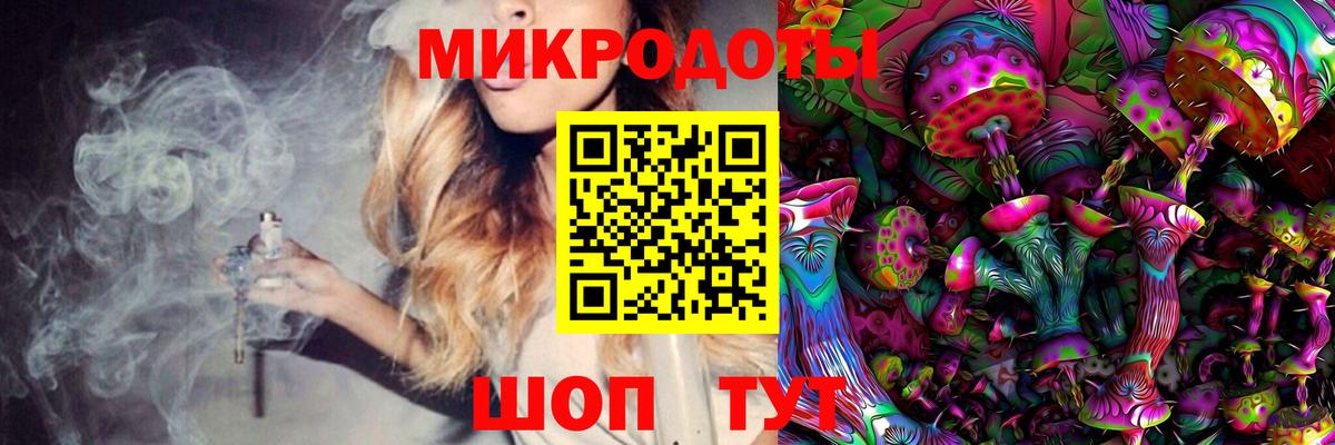 Псилоцибиновые грибы Psilocybe Усинск